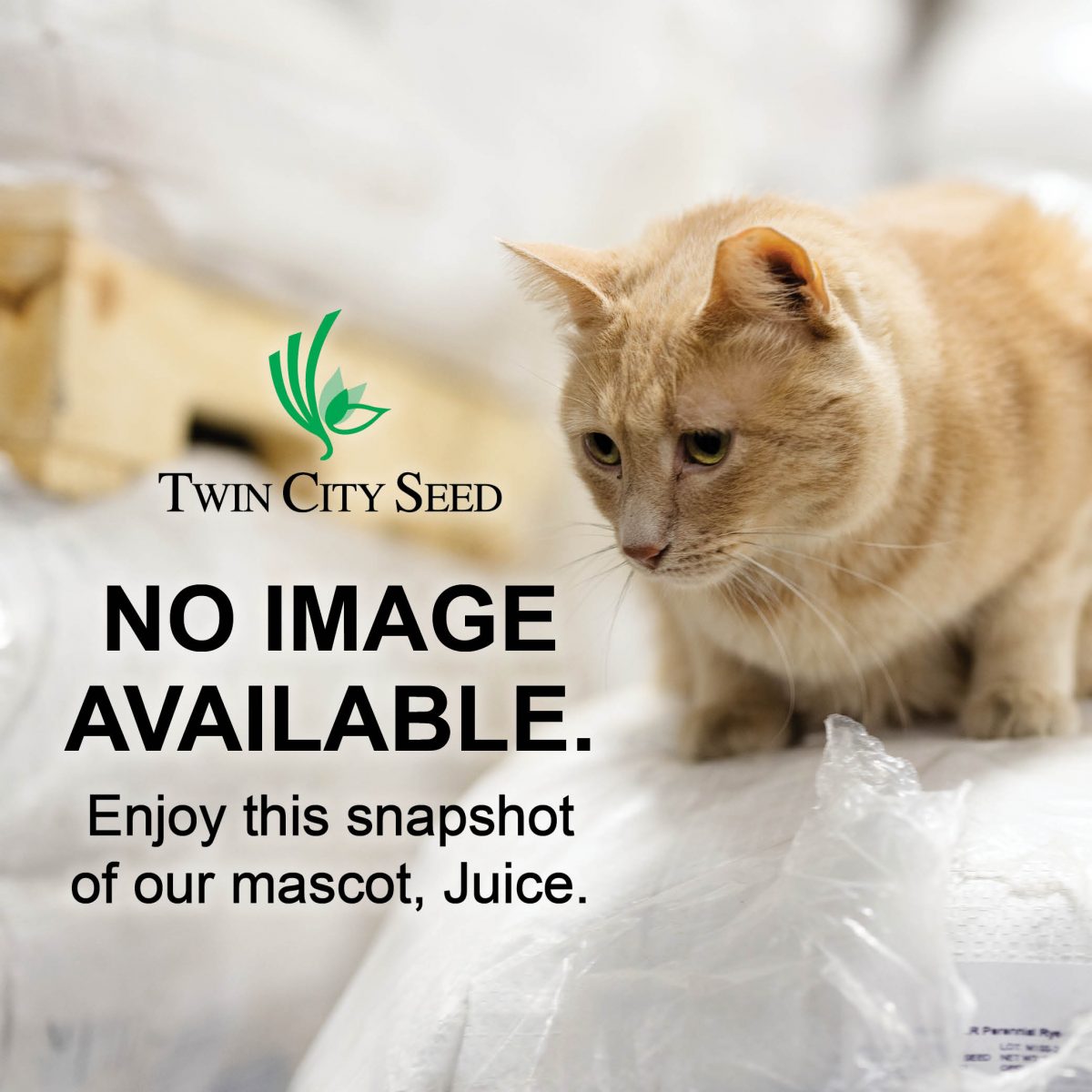 AquaGel - 2 lb. bag